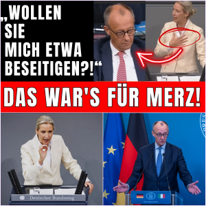 „Wollen Sie mich etwa beseitigen?“ – Alice Weidels historische Abrechnung mit Kanzler Merz erschüttert den Bundestag