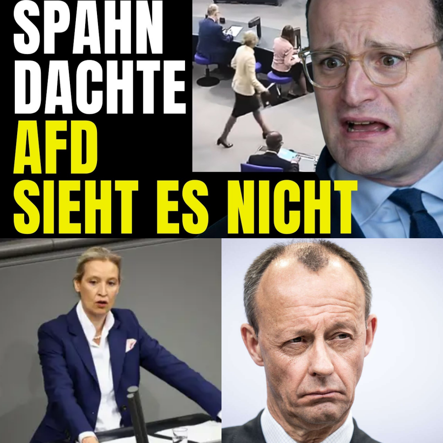 Schockstarre im Bundestag: Wie Alice Weidel die Union in die Enge treibt und schonungslos mit der Regierungspolitik abrechnet