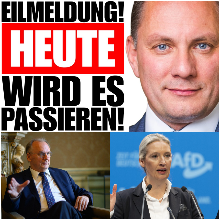 Einbebung in Sachsen-Anhalt: Steht die AfD vor der absoluten Mehrheit? – Die Umfrage-Bombe, die das politische Establishment erzittern lässt