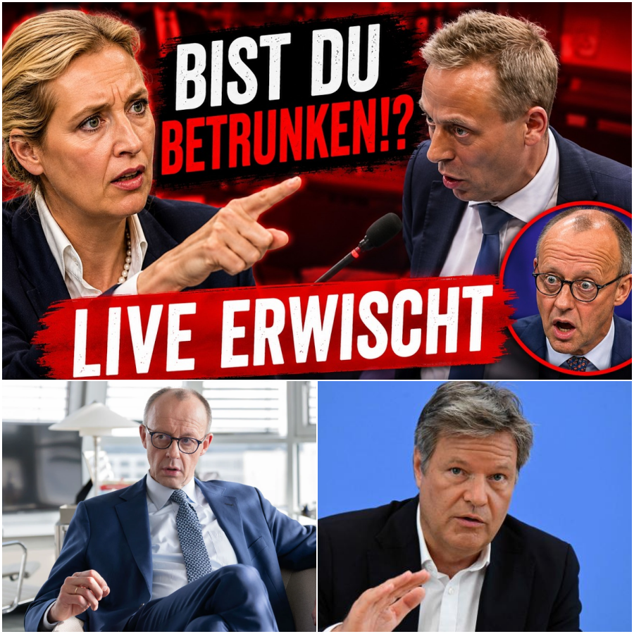 Der große Heizungs-Bluff: Wie der Bundestag die Bürger in die finanzielle Falle lockt