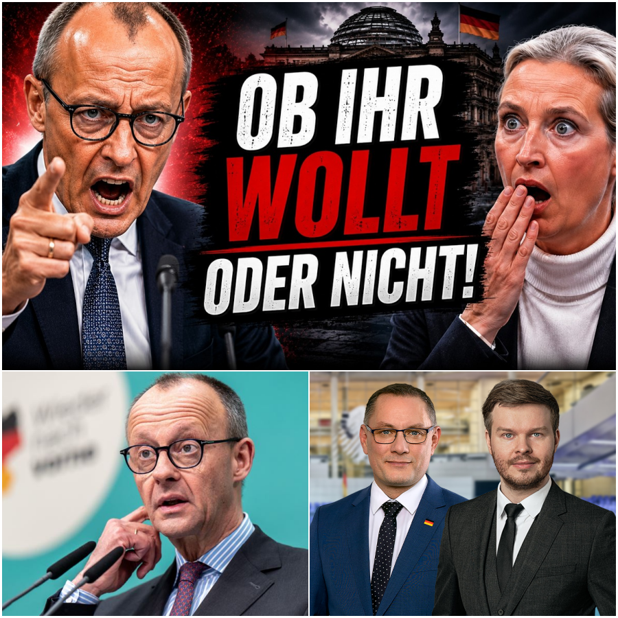 Der Kanzler der Arroganz: Wie Friedrich Merz im Bundestag die Kontrolle verliert und die Bürger im Stich lässt