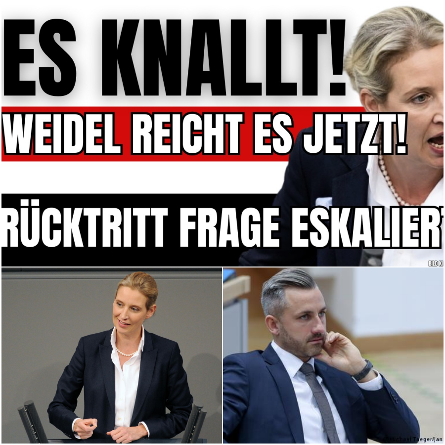 Eskalation auf offener Bรผhne: Wie Alice Weidel die Medien-Falle demontiert und den wirtschaftlichen Ruin der Regierung schonungslos offenlegt