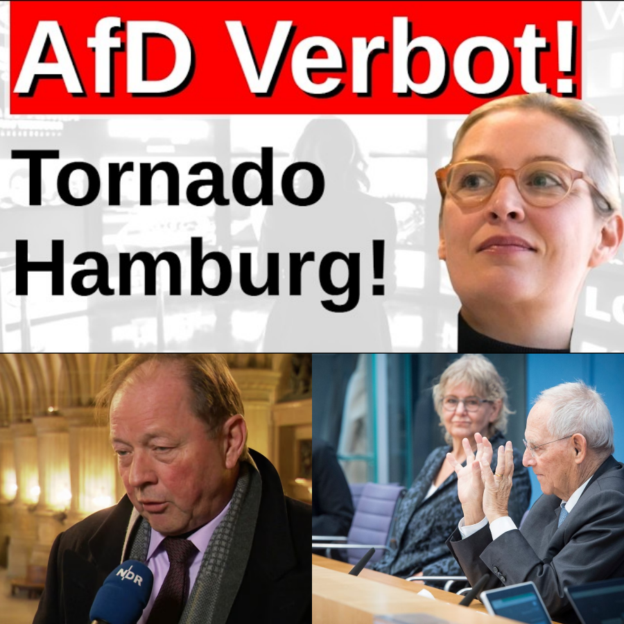 Ein politischer Tornado in Hamburg: Warum das Verbotsverfahren die Demokratiefrage vรถllig neu stellt und das Establishment entlarvt