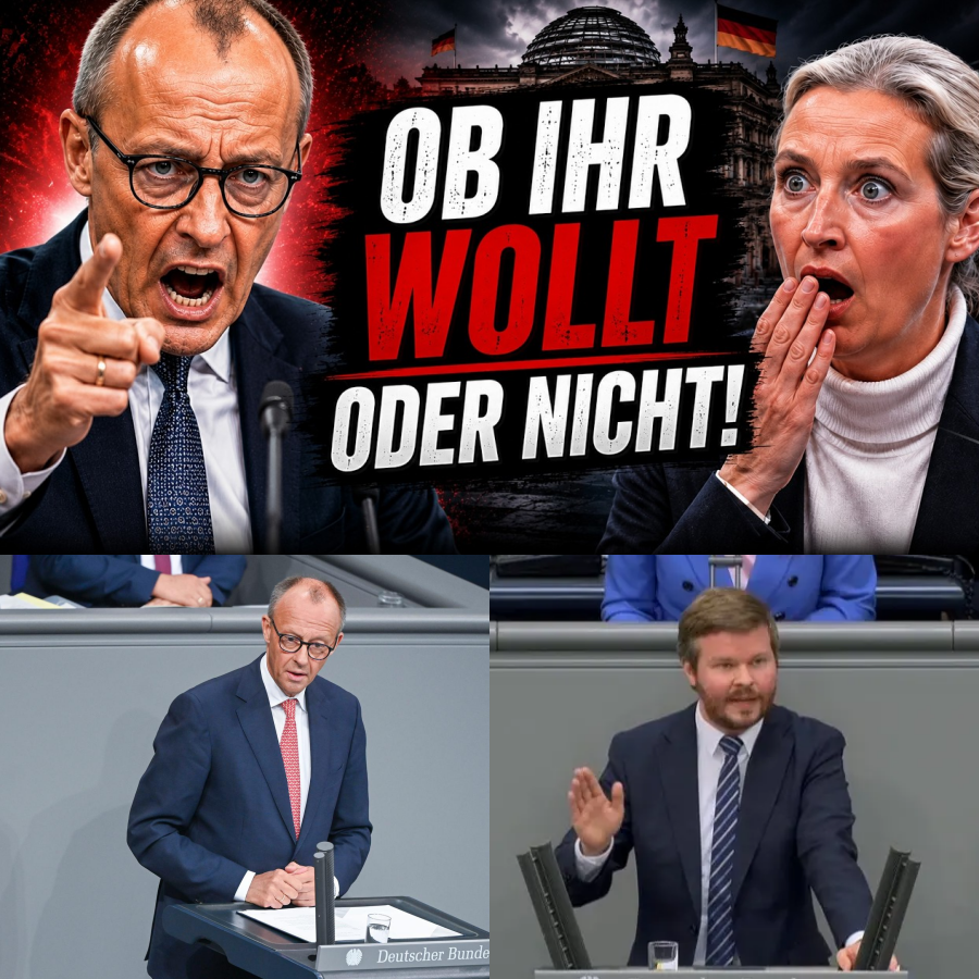 Die Arroganz der Macht: Wie Friedrich Merz im Bundestag entlarvt wird und der Graben zum Bรผrger immer tiefer reiรt