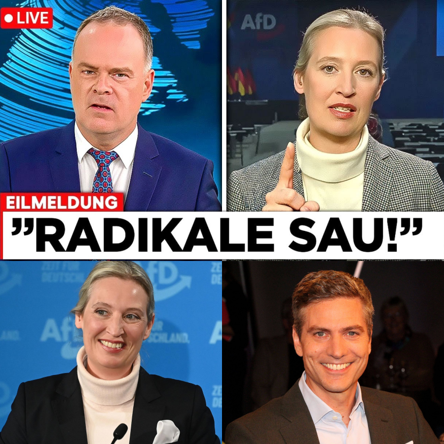 Der TV-Eklat, der Deutschland bewegt: Wenn journalistische Voreingenommenheit auf eiskalte Souveränität trifft