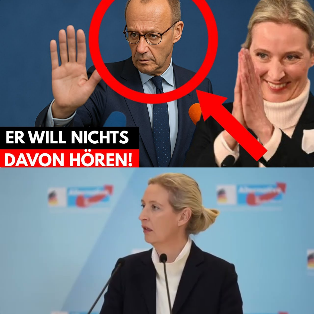 Abrechnung mit Kanzler Merz: Weidel und Chrupalla entlarven den Milliarden-Bluff und warnen vor Staatsbankrott!