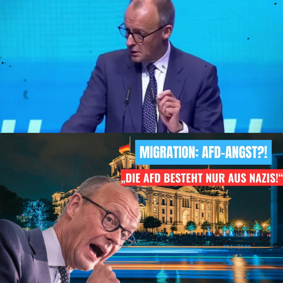Kanzler unter Druck: Warum Friedrich Merz die AfD wirklich fürchtet