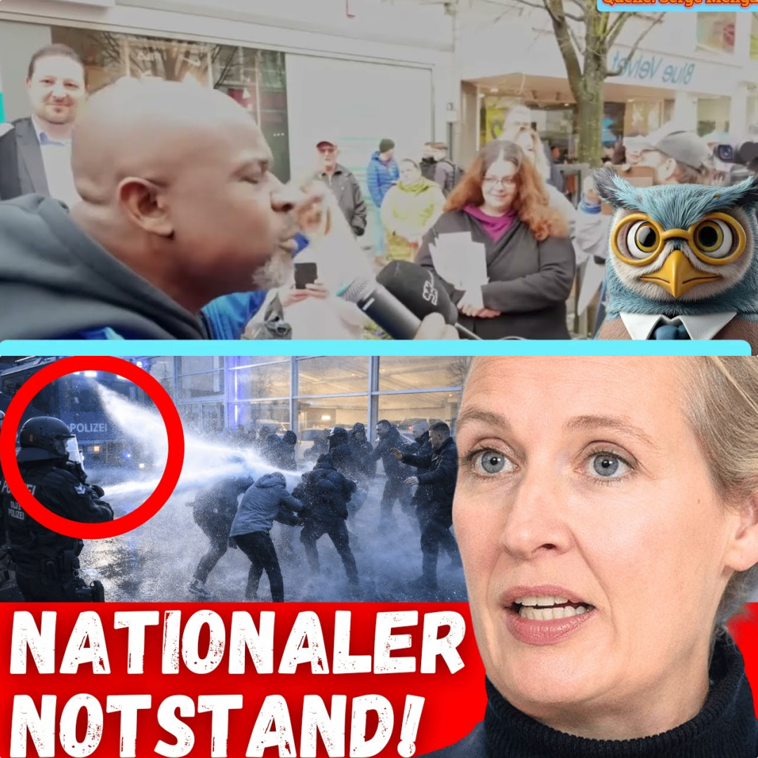Straßenschlacht um den Diskurs: Wenn Argumente in verbalen Flammen aufgehen