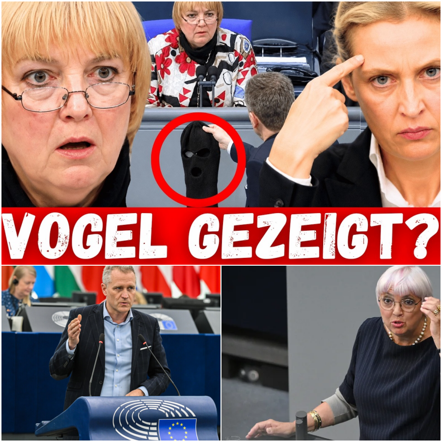 Der große Kulturkampf im Bundestag: Wenn ideologische Fassaden bröckeln und die Fetzen fliegen
