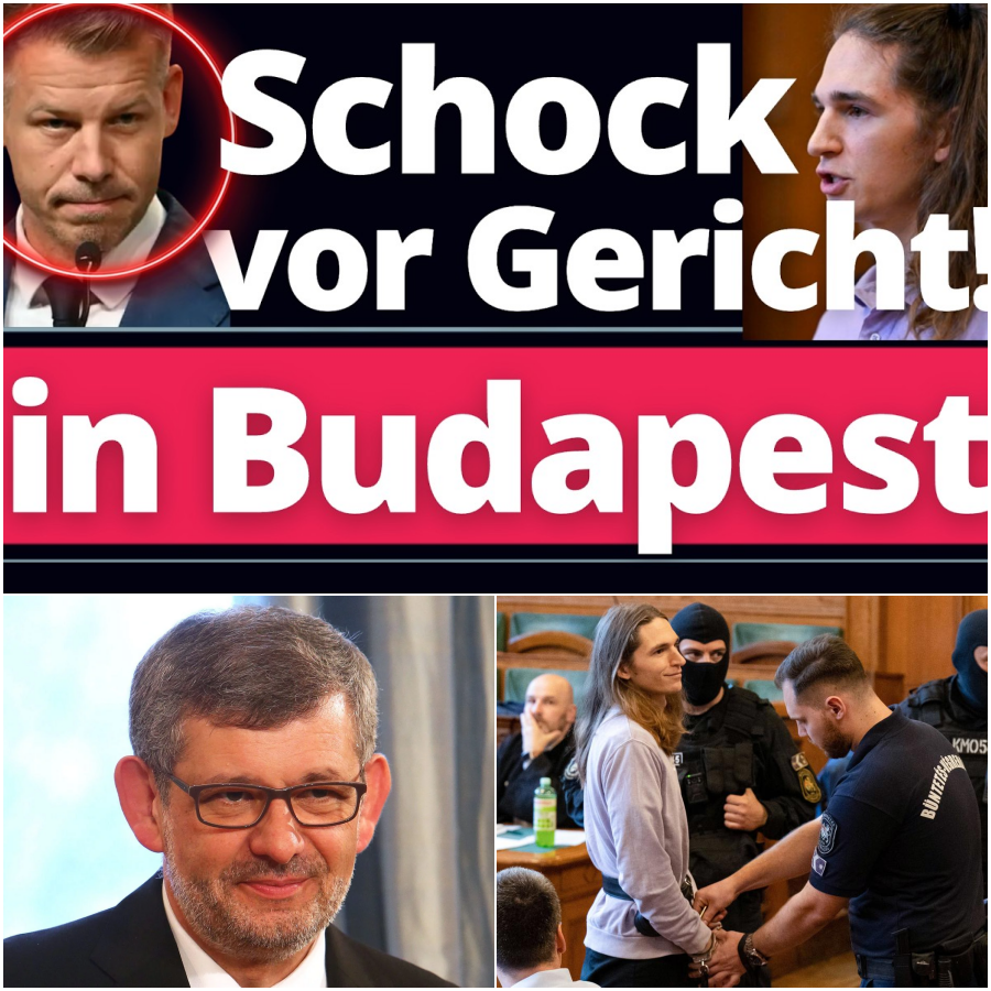 Justiz am Scheideweg: Wenn brutale Hammerschläge auf Bewährung enden und das EU-Parlament zum sicheren Hafen wird