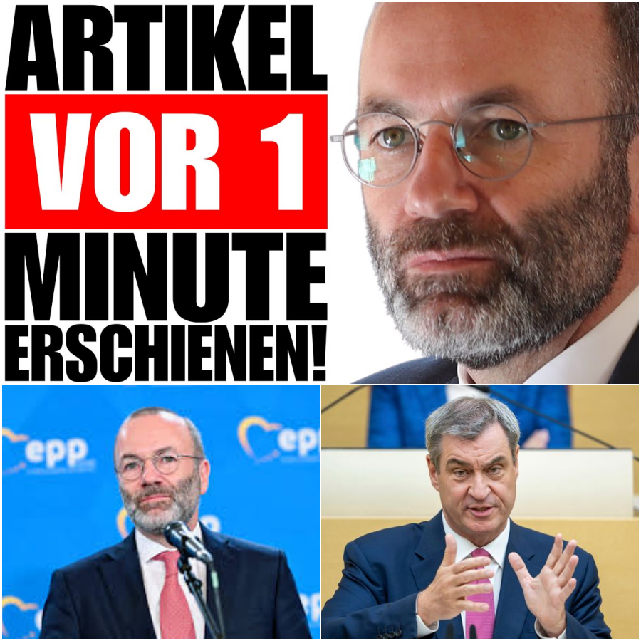 Der eskalierende CSU-Machtkampf: Manfred Webers Brandbrief und die absurde Suche nach den wahren Gründen für den AfD-Aufstieg
