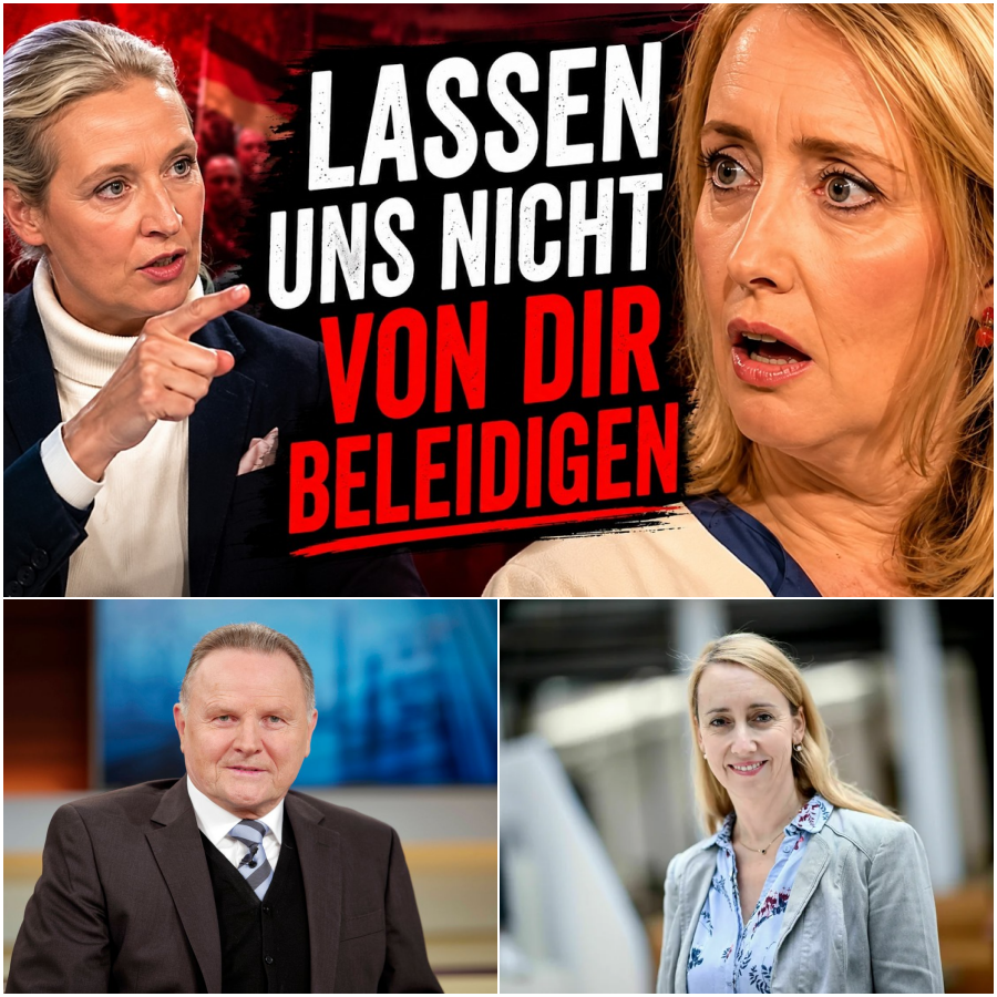 TV-Eklat und die tiefe Medienkrise: Wenn der politische Dialog zur moralischen Belehrung verkommt