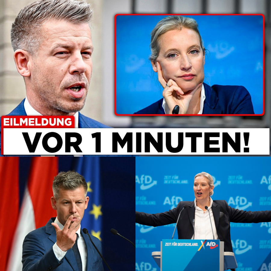 Péter Magyars brisantes Bekenntnis: Ein politisches Beben aus Ungarn, das die Berliner Republik erschüttert