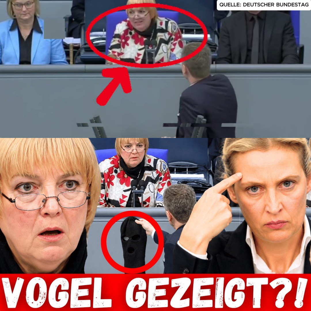 Kopftuch-Eklat und Kulturkampf: Die schonungslose Abrechnung der AfD mit Claudia Roth