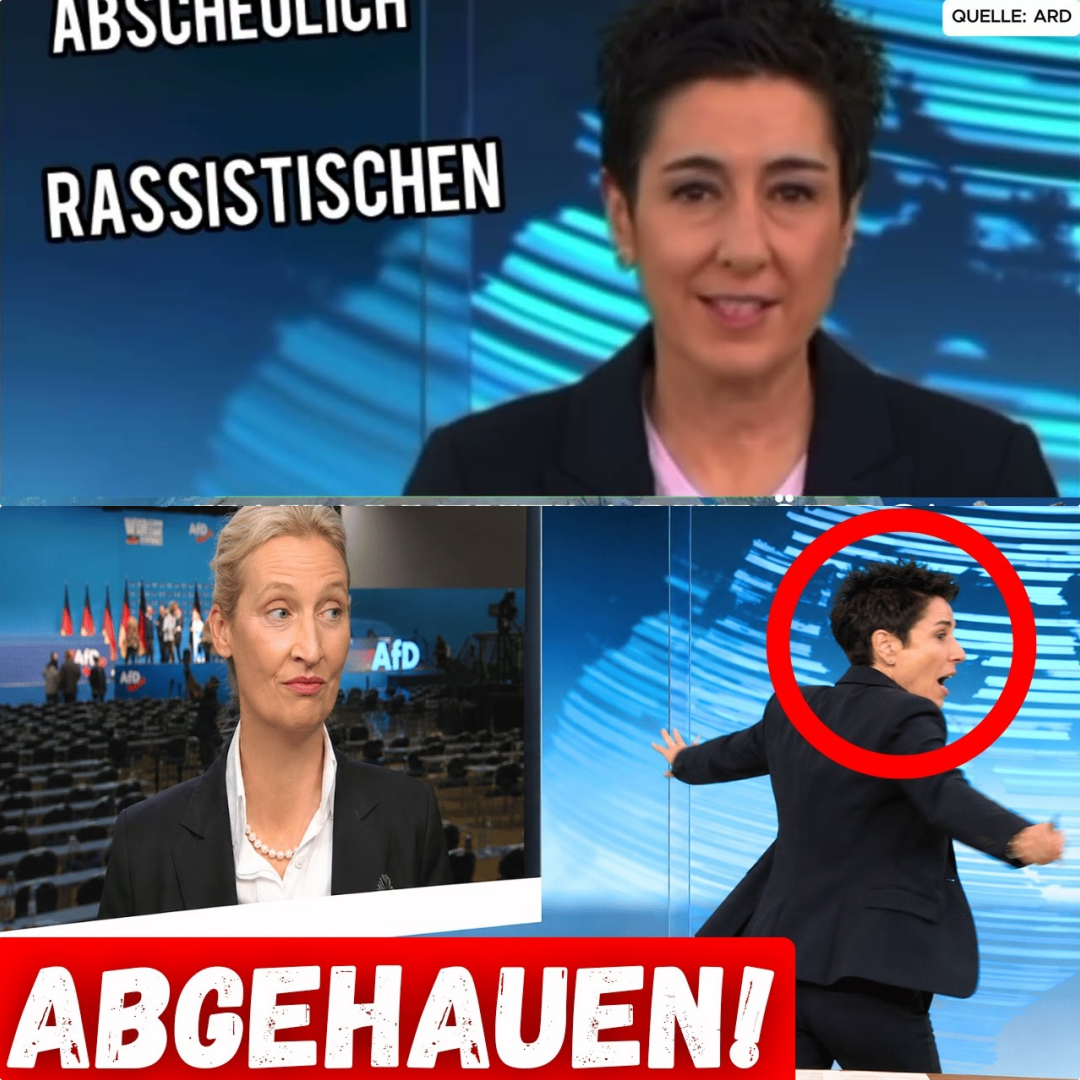 Medien im Kreuzfeuer: Offenes Eingeständnis zur Meinungslenkung im öffentlich-rechtlichen Rundfunk sorgt für Wirbel