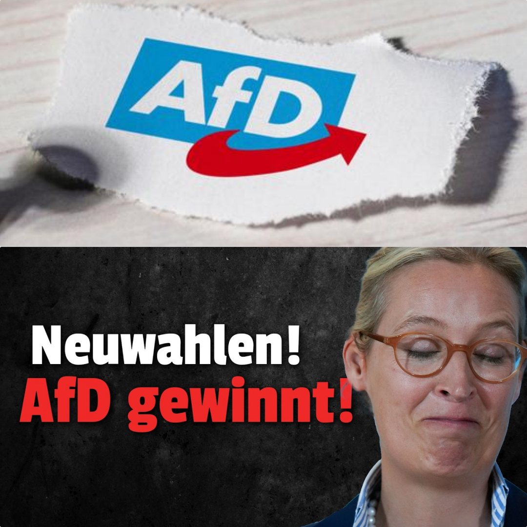 Demokratisches Beben: OVG Saarbrücken erzwingt Wahlwiederholung nach AfD-Ausschluss