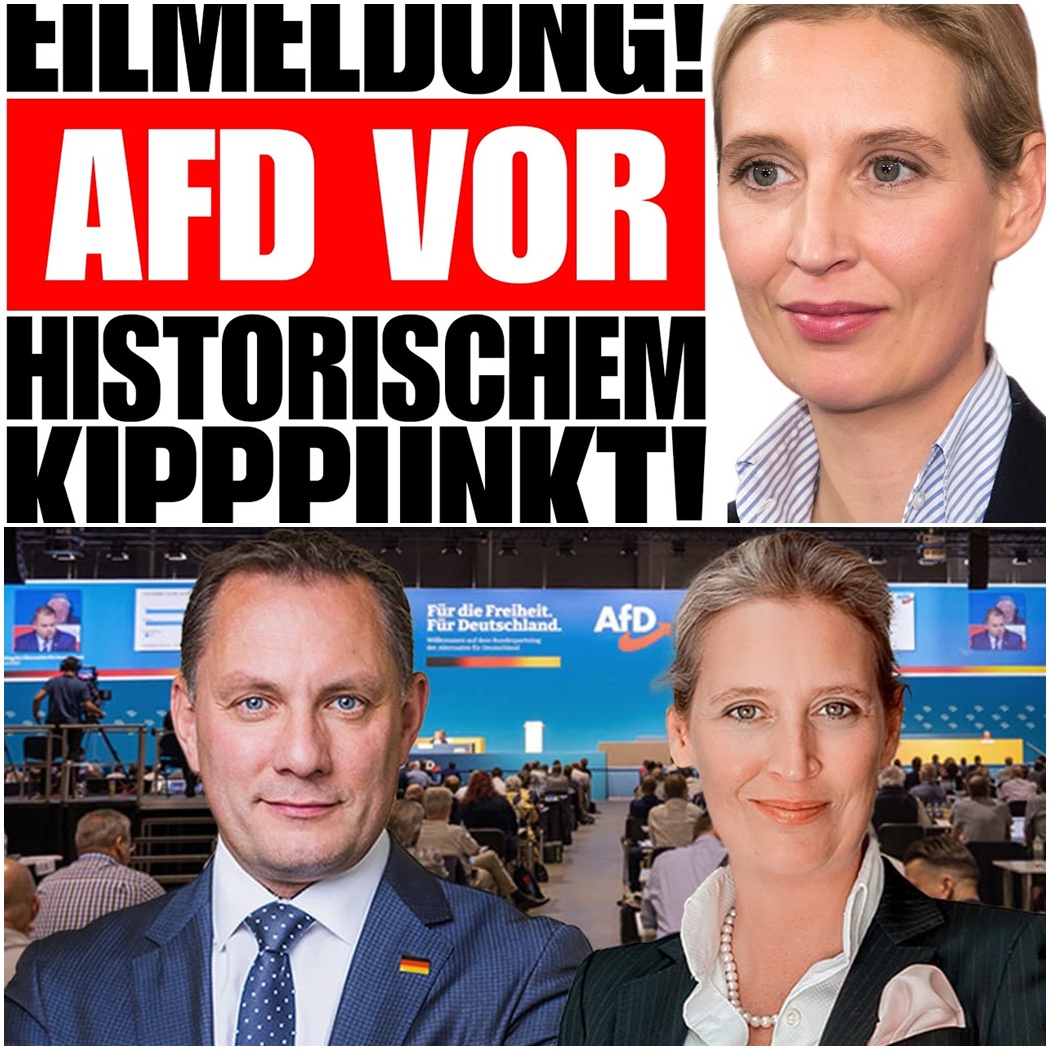 Der historische Kipppunkt: Warum die Union vor dem Umfrage-Beben der AfD zittert
