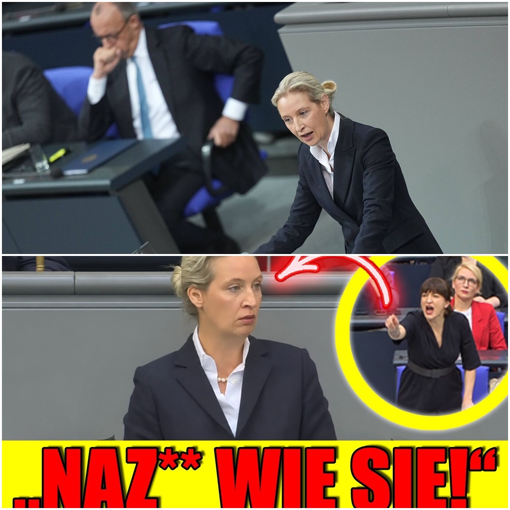 Historischer Eklat im Bundestag: Weidel rechnet schonungslos ab – Linke Fraktion eskaliert mit übler “Nazi”-Beleidigung!