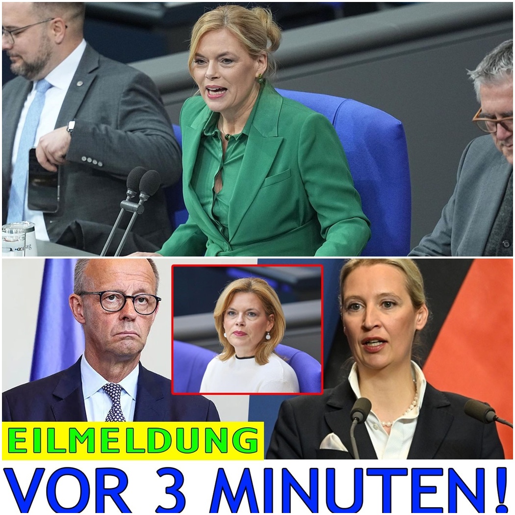 Eskalation im Bundestag: Wenn Worte zu Waffen werden und Bürger die Tribüne stürmen