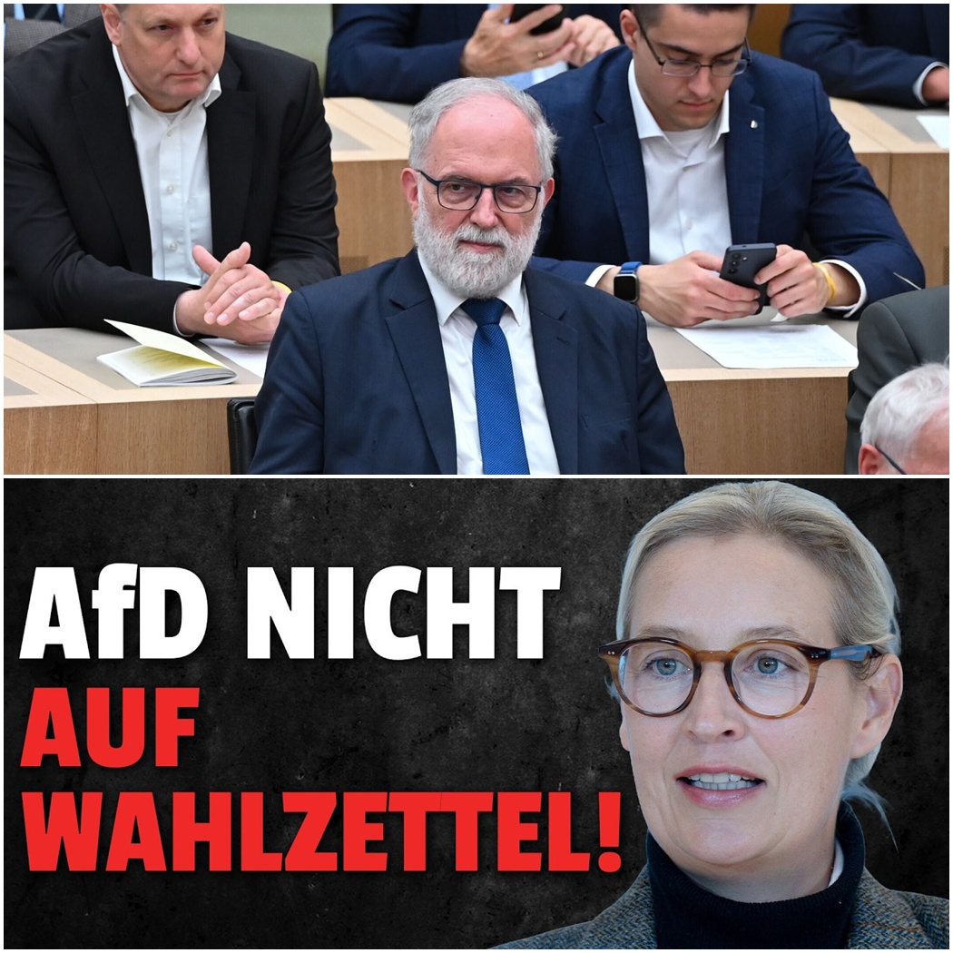 Ein Tiefpunkt für die Demokratie? Die umstrittene Wahl zur Landtagsvizepräsidentin in Baden-Württemberg und der Skandal um den AfD-Kandidaten