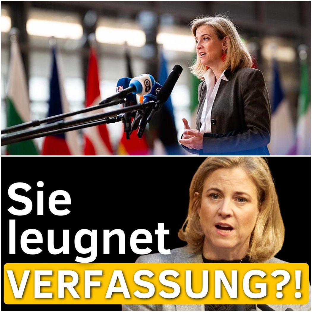 Ein beispielloser Verfassungsbruch? Warum die jüngsten Aussagen von Beate Meinl-Reisinger zur Neutralität das Land erschüttern und ihren Rücktritt fordern