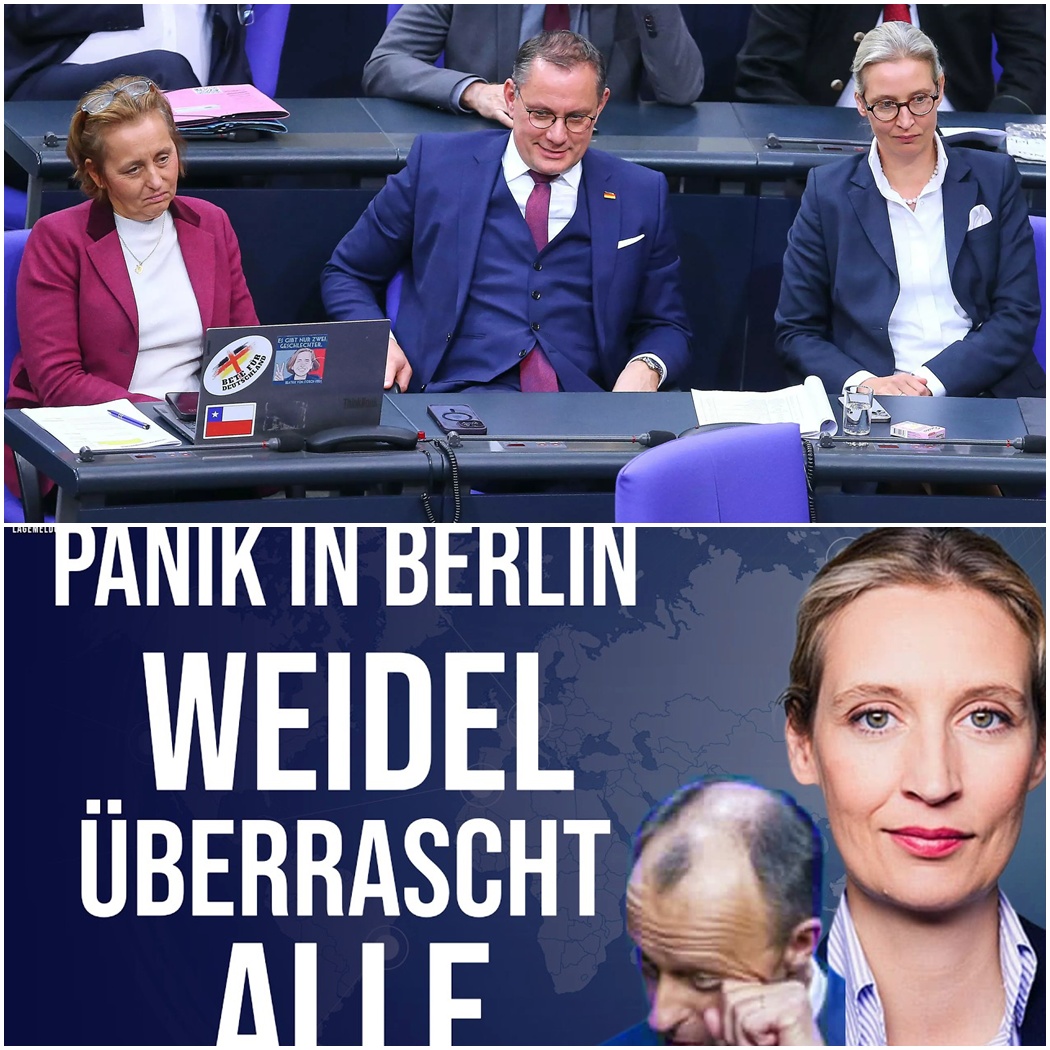 Der Meisterplan der AfD: Wie Alice Weidel das politische Berlin in Panik versetzt und die Brandmauer zum Einsturz bringen will