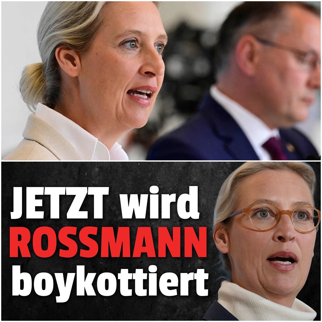 Rossmann-Boykott explodiert: Wenn der Elfenbeinturm den Krieg gegen Millionen Wähler erklärt