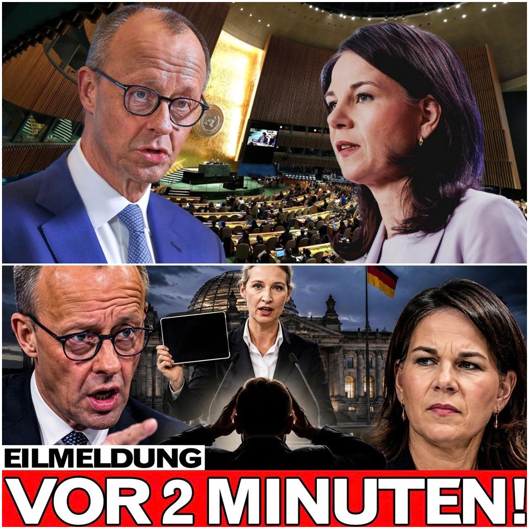 Der Tag, an dem die Masken fielen: Merz, Baerbock und der beispiellose Vertrauensbruch im Bundestag