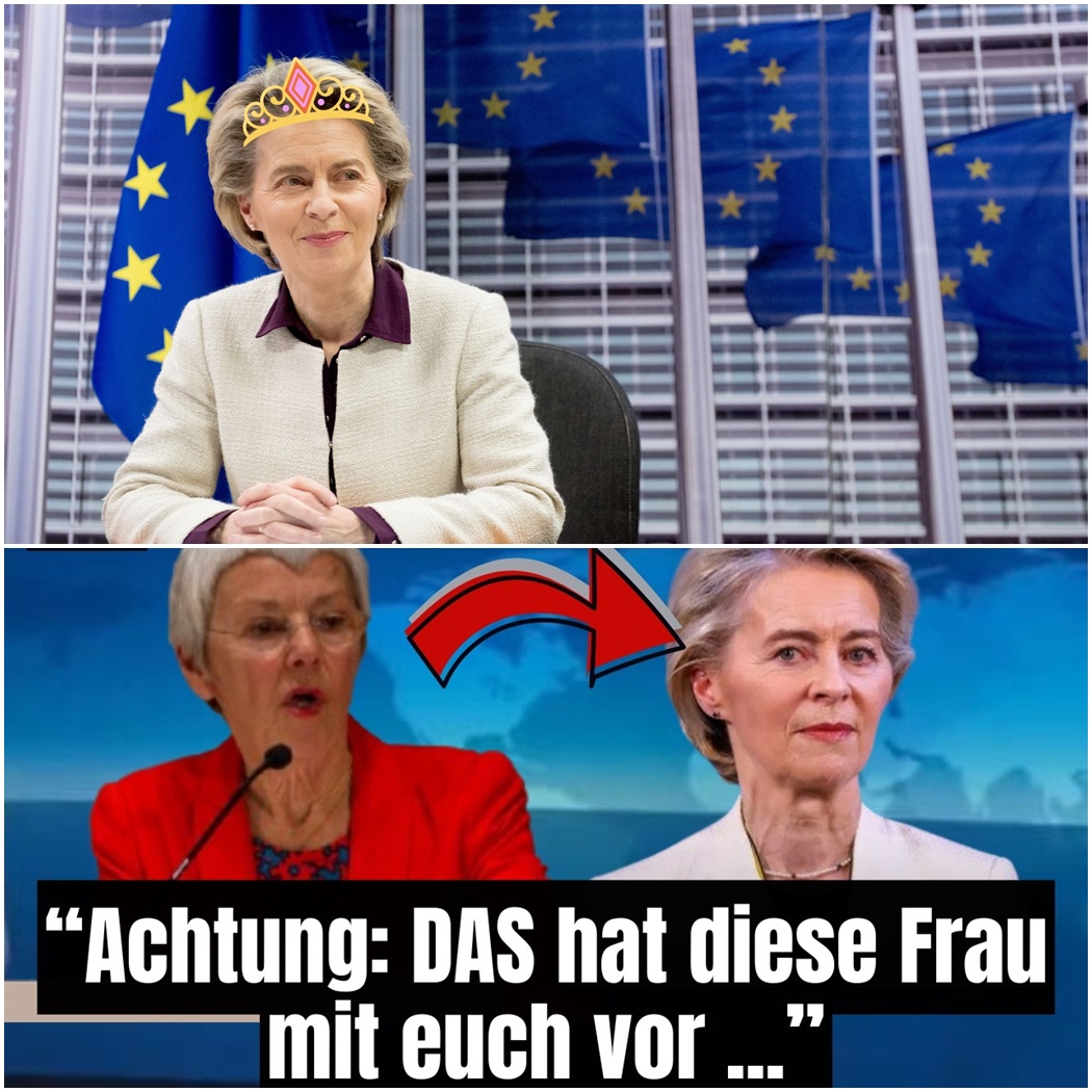 Propaganda im Cockpit? Die Demontage einer Berliner Inszenierung