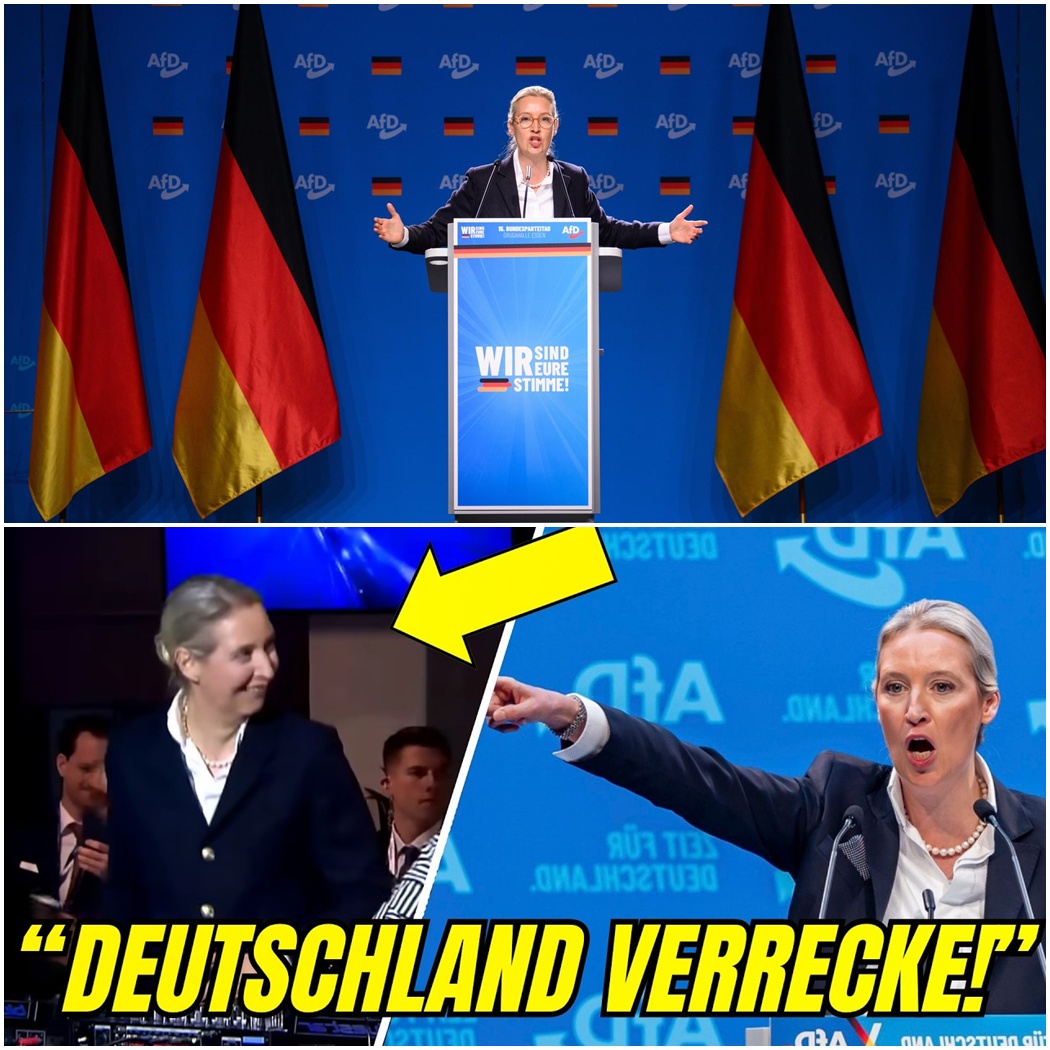 Alice Weidels Budapest-Eklat: Eine Rede am Abgrund der Demokratie