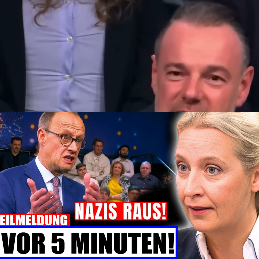 Merz schlägt rechts zu  Doch AfD-Wähler lachen nur!