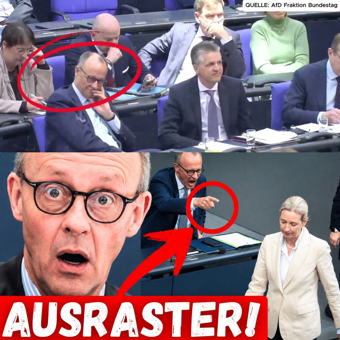 Generalabrechnung im Bundestag: Alice Weidel erklärt Friedrich Merz für gescheitert