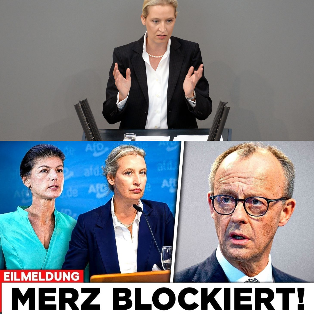 Regierung am Abgrund: Das geheime Bündnis von Weidel und Wagenknecht erzwingt das Ende der Brandmauer