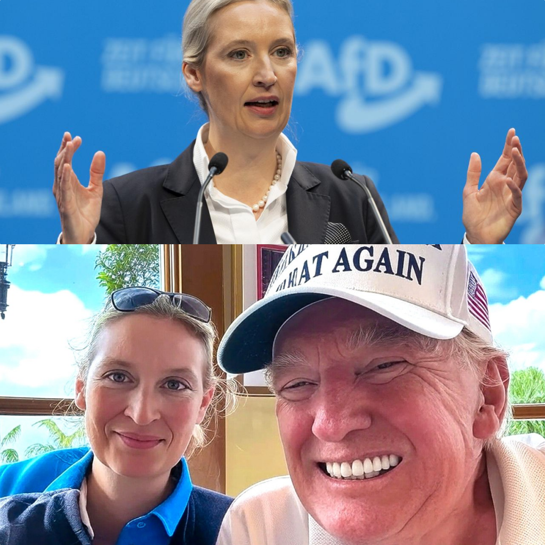 Geopolitischer Pakt: Wie Weidel und Trump die politische Statik Deutschlands zum Einsturz bringen