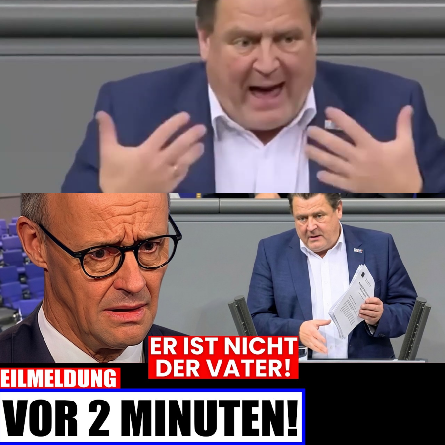AFD fordert Vaterschaftstest: Merz SCHOCKIERT im Bundestag!