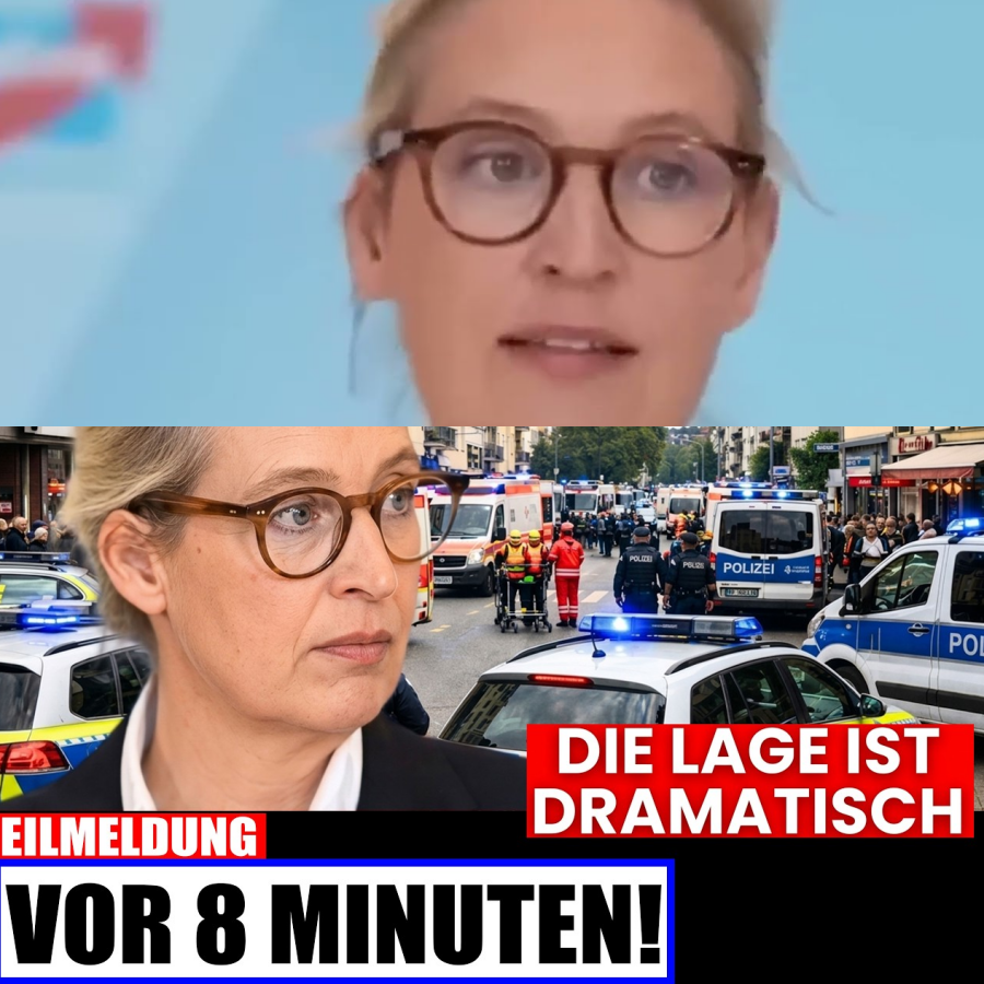 Dramatische Wende! AfD ruft NOTSTAND aus – Alle deutschen Städte betroffen!