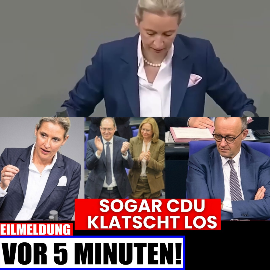 CDU KLATSCHT FÜR AFD! Merz rastet komplett aus! AfD-Video geht viral!