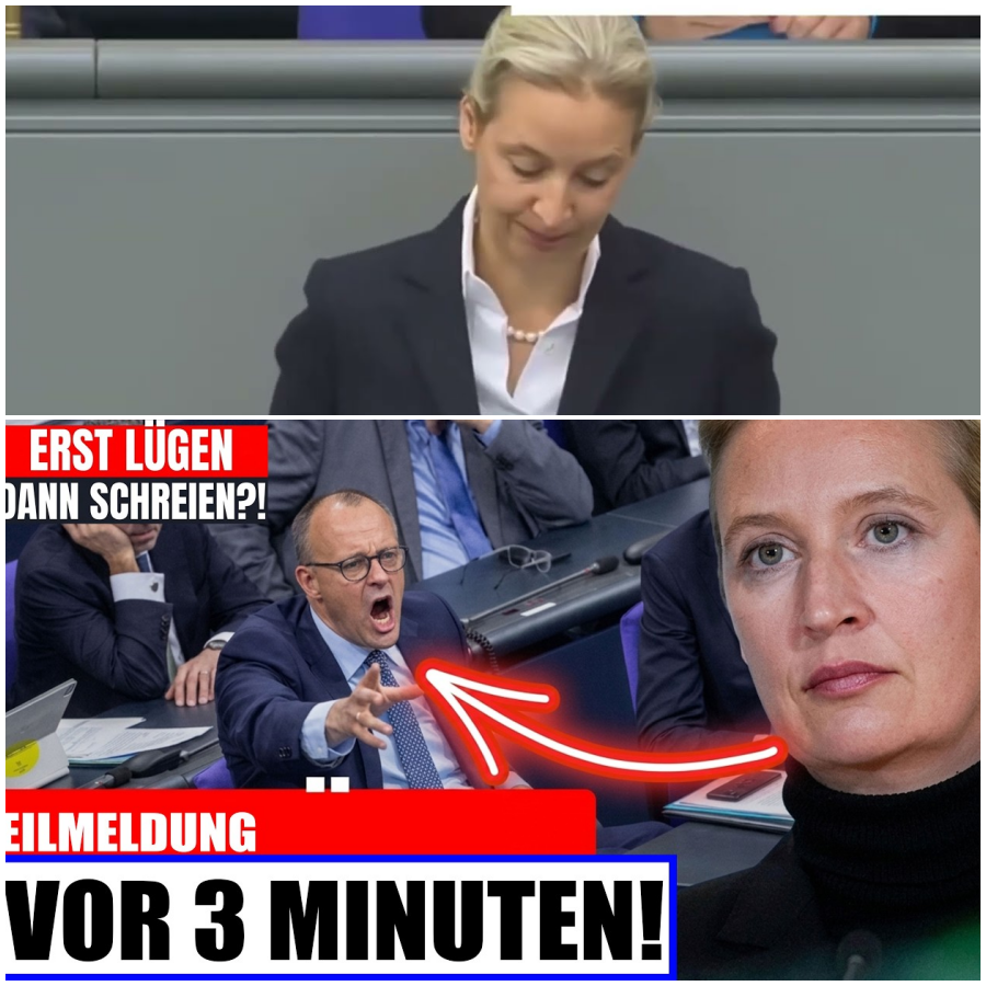 Merz rastet bei AfD-Rede komplett aus – und bereut es sofort!