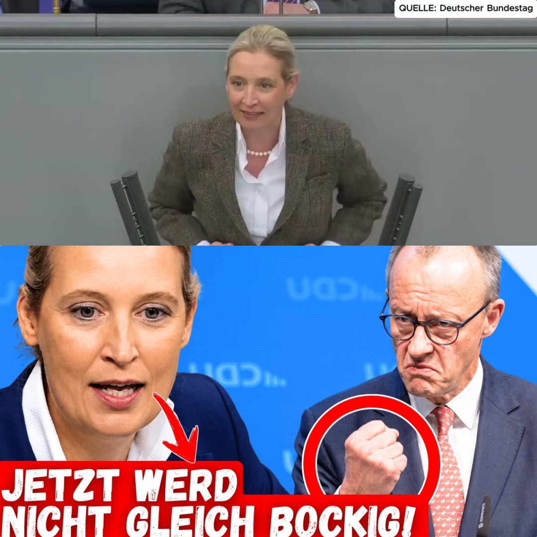 Netz-Kontrolle und Wirtschafts-Exodus: Merz im Kreuzfeuer der Kritik