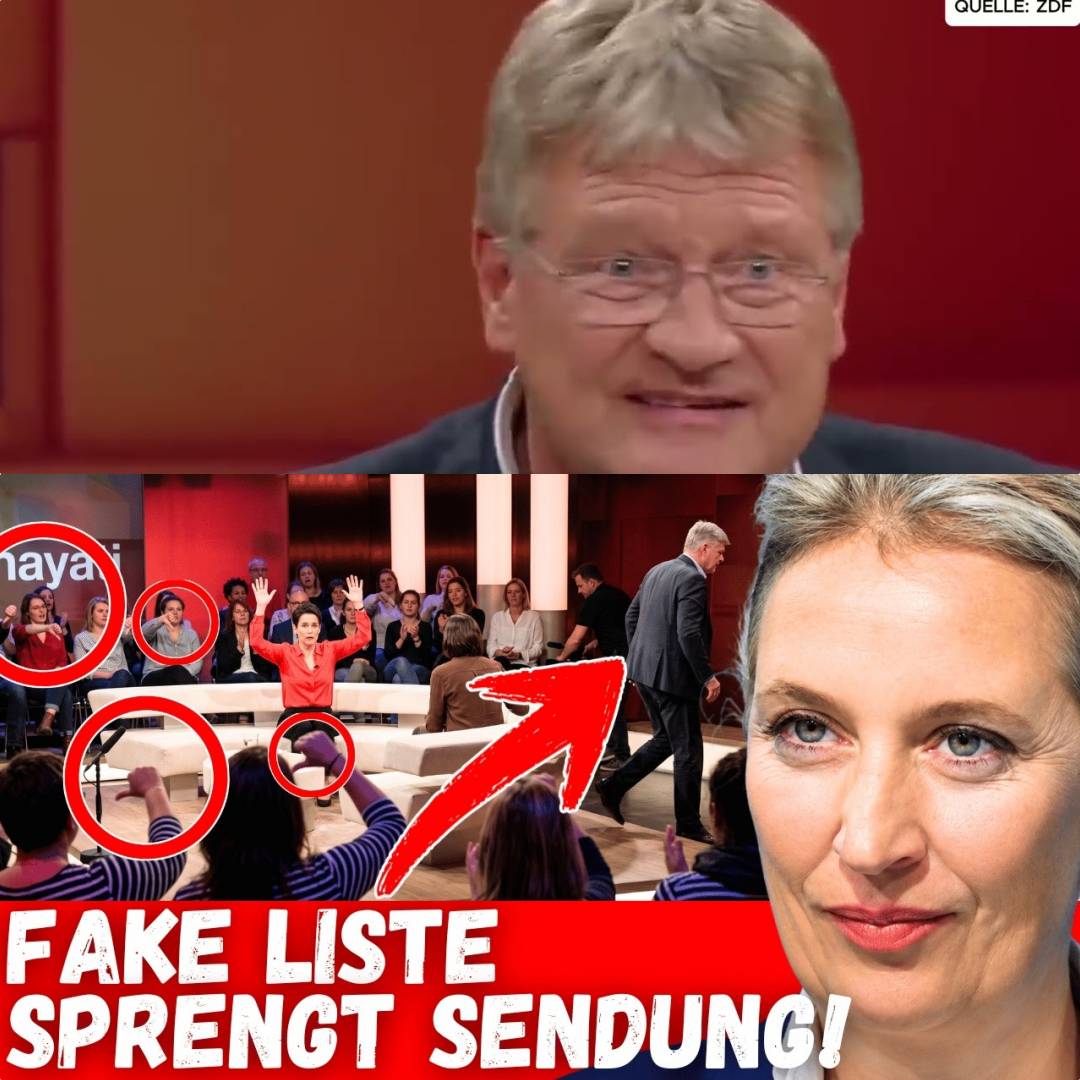TV-Eklat pur: Wenn Göring-Eckardt bei Hayali den Boden unter den Füßen verliert