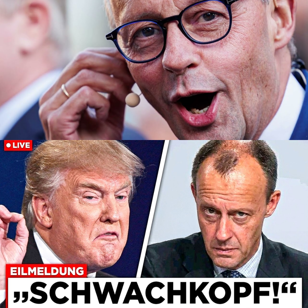 Diplomatisches Beben: Wenn Trump Merz vor der Weltpresse bloßstellt und das politische Berlin den Boden verliert