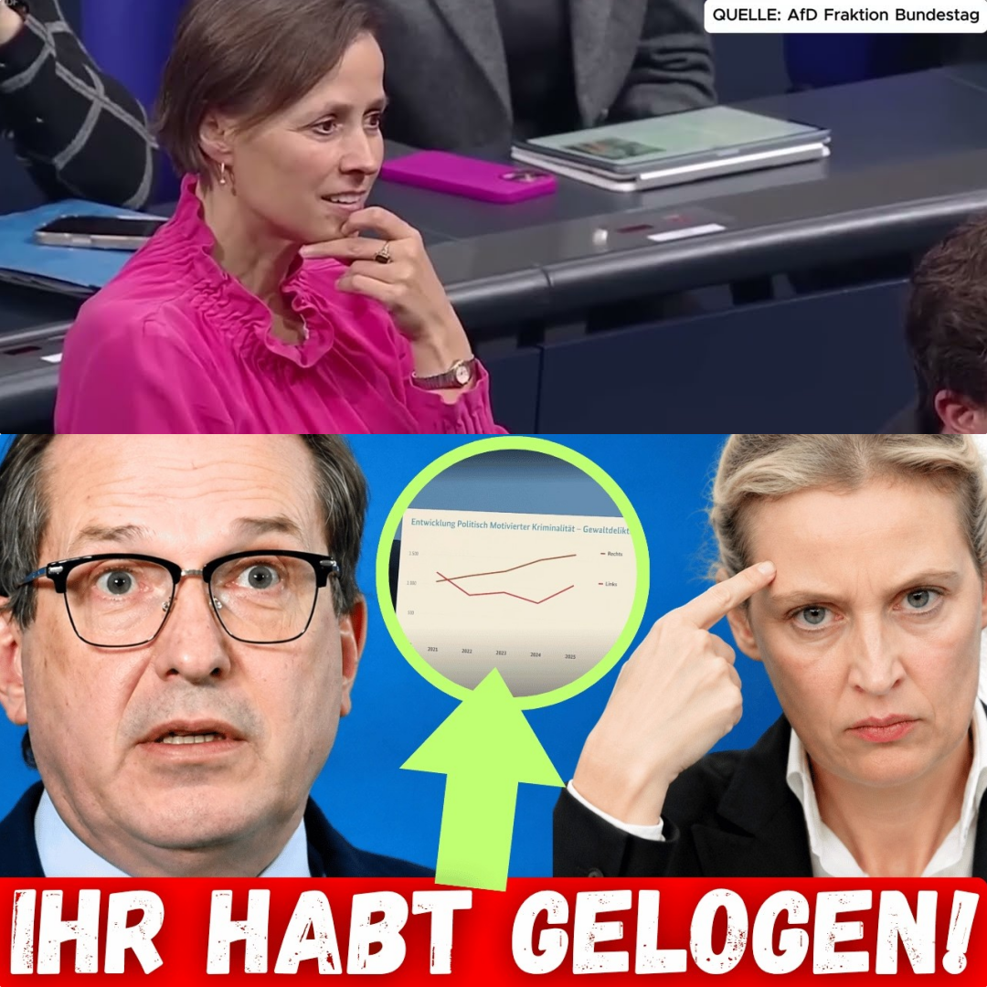 Alarm im Bundestag: Deckt die AfD den größten Statistik-Skandal des Jahres auf?