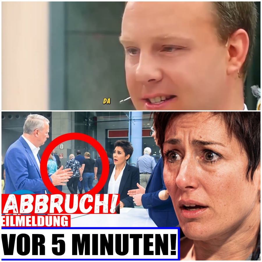 Zuschauer SKANDAL! Publikum geht, weil Hayali AfD-Mann stummschaltet!?