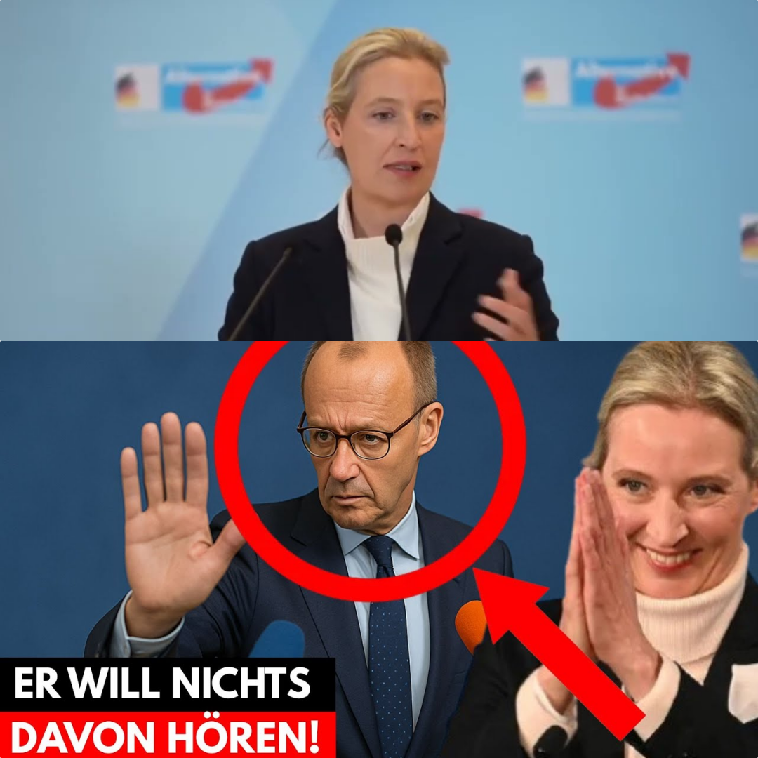 Frontalangriff auf Kanzler Merz: Weidel und Chrupalla rechnen mit dem Haushalts- und Politikchaos ab