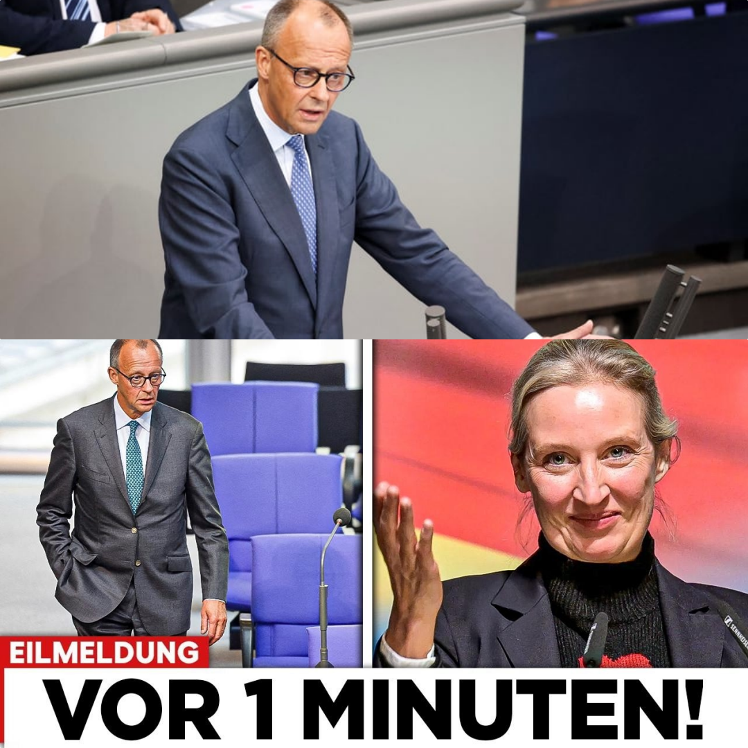 Berlin am Abgrund: Das Ende des Friedrich Merz und der Aufstieg einer neuen politischen Kraft
