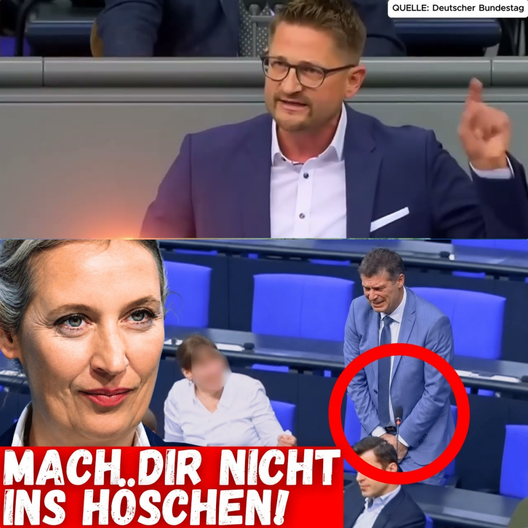 Beuteland Deutschland: Die bittere Wahrheit über den Zusammenbruch unseres Sozialstaats