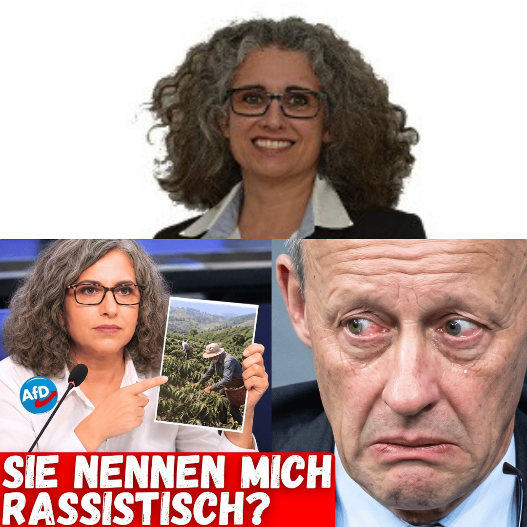 Wenn die Wahrheit unbequem wird: Warum eine Anwältin der SPD den Rücken kehrte