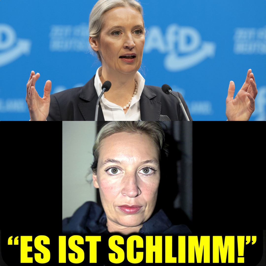 Alarmstufe Rot: Alice Weidel deckt das Ausmaß der linksextremen Bedrohung in Deutschland auf