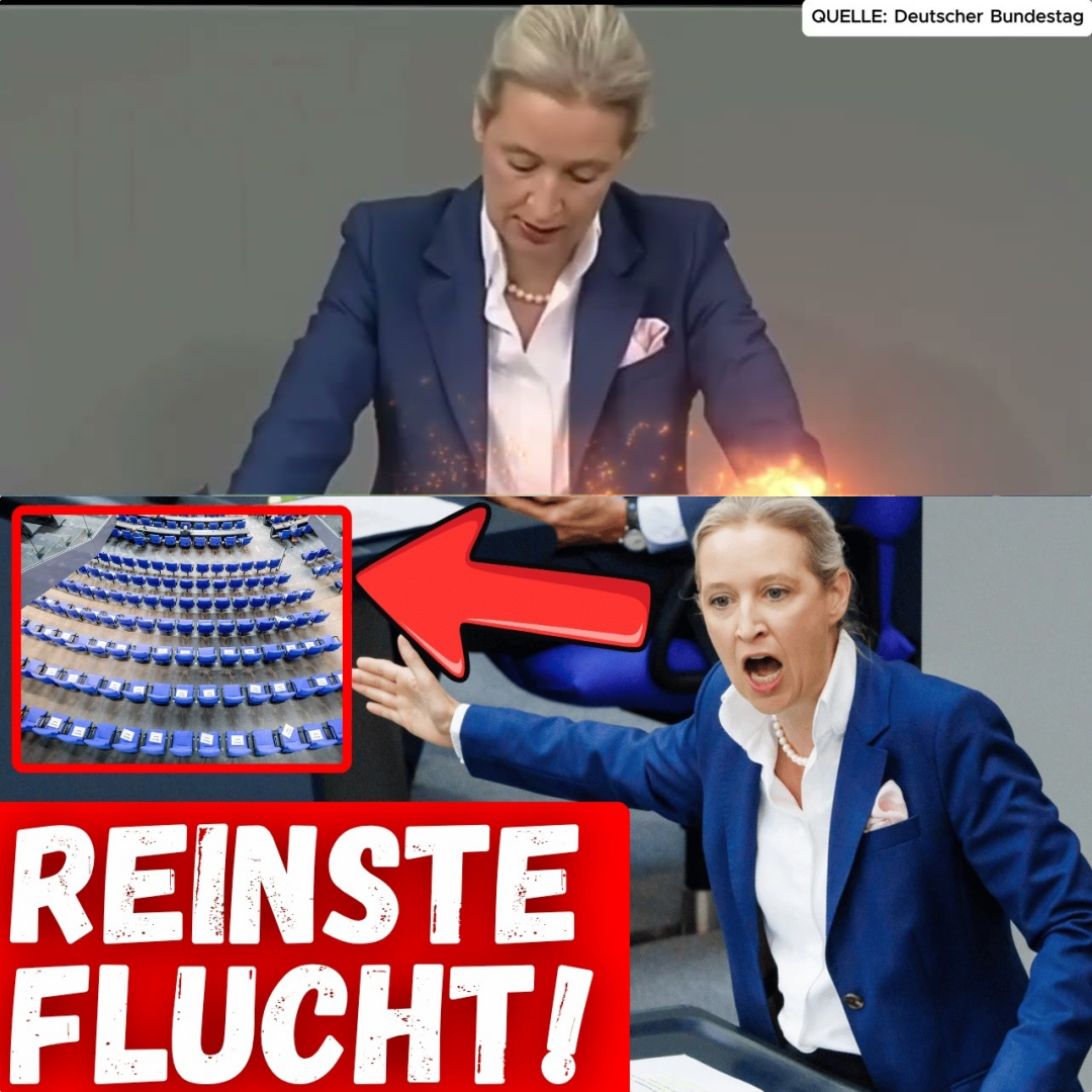 Paukenschlag im Bundestag: Alice Weidel rechnet ab – CDU flieht aus dem Saal