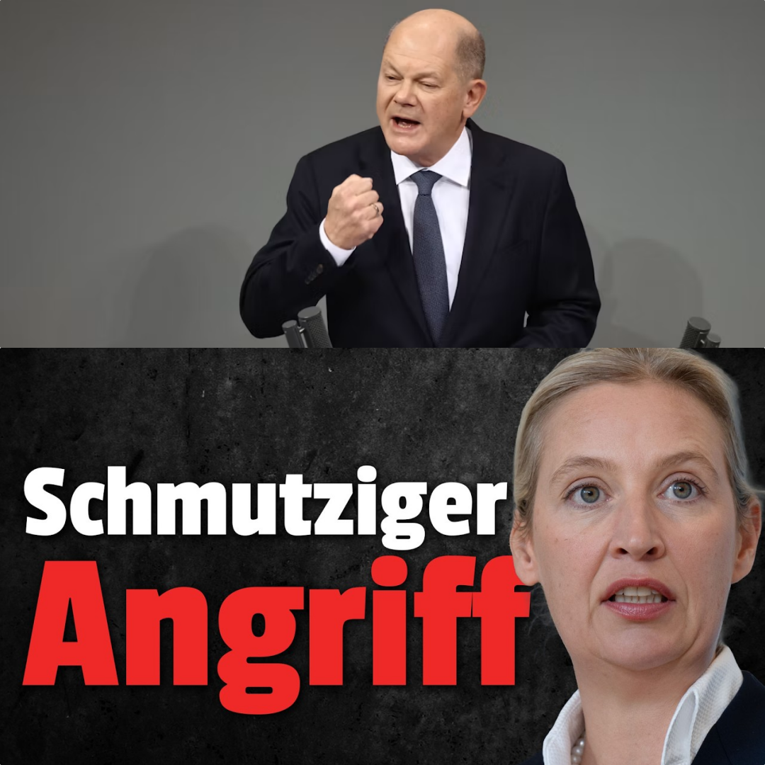 Demokratischer Tabubruch: Will die Politik die AfD mundtot machen?